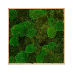 Mosbillede i mosmix 006